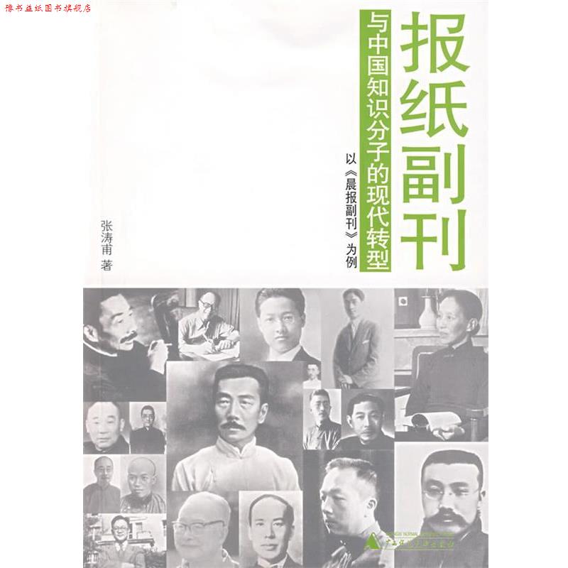 【正版书】 报纸副刊与中国知识分子的现代转型:以《晨报副刊》为例 张涛甫 著 广西师范大学出版社