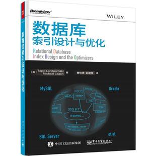 【正版书】 数据库索引设计与优化 (美)拉赫登迈奇,(美)利奇　著,曹怡倩,赵建伟　译 电子工业出版社