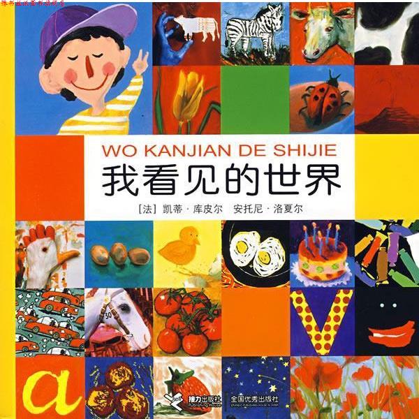【正版书】 我看见的世界 (法)库皮尔,(法)洛夏尔 著 接力出版社