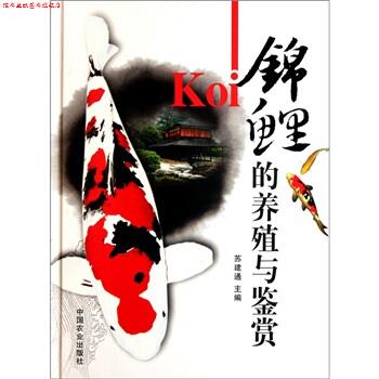 【正版书】 锦鲤的养殖与鉴赏 苏建通 编 中国农业出版社