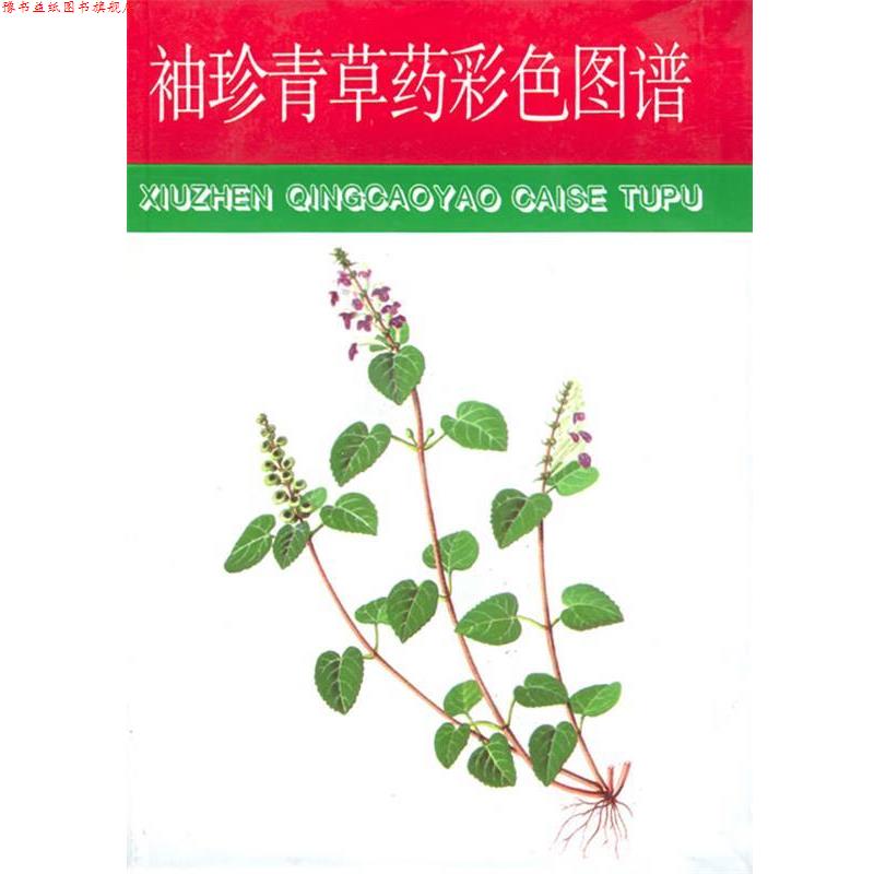 【正版书】 袖珍青草药彩色图谱 赵秀贞 主编 福建科技出版社