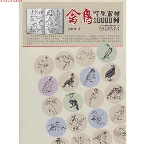 【正版书】 禽鸟写生素材10000例 光相白　著 安徽美术出版社