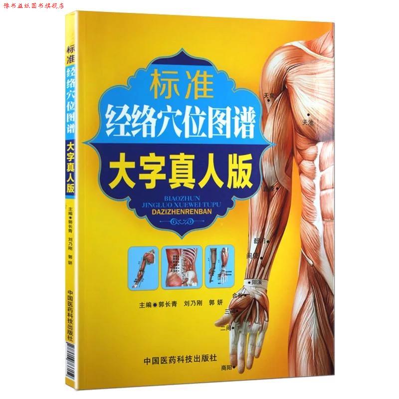 【正版书】 标准经络穴位图谱 郭长青,刘乃刚,郭妍 主编 中国医药科技出版社