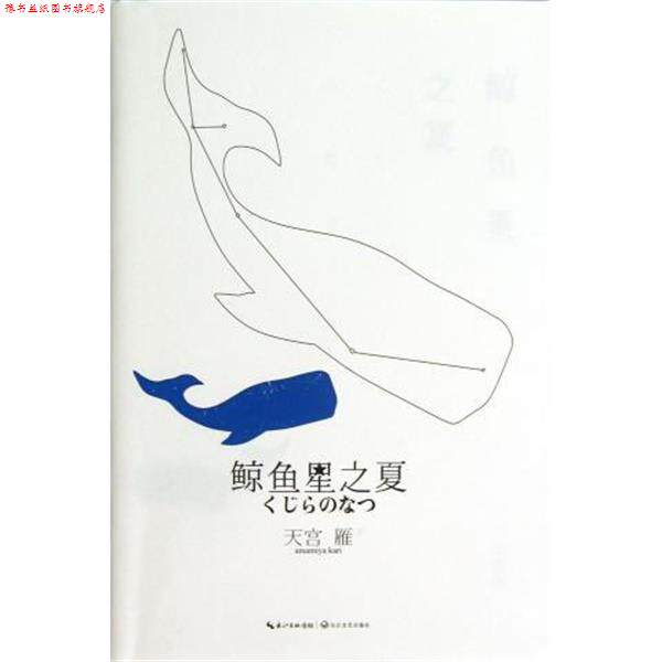 【正版书】 鲸鱼星之夏 天宫雁 著 长江文艺出版社