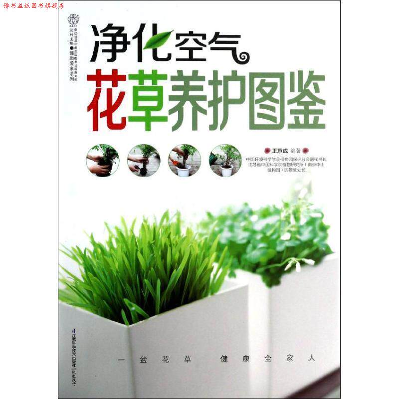 【正版书】 净化空气花草养护图鉴 王意成 江苏科学技术出版社
