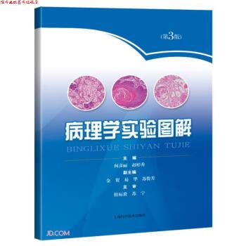【正版书】 病理学实验图解 何彦丽,赵婷秀 上海科学技术出版社