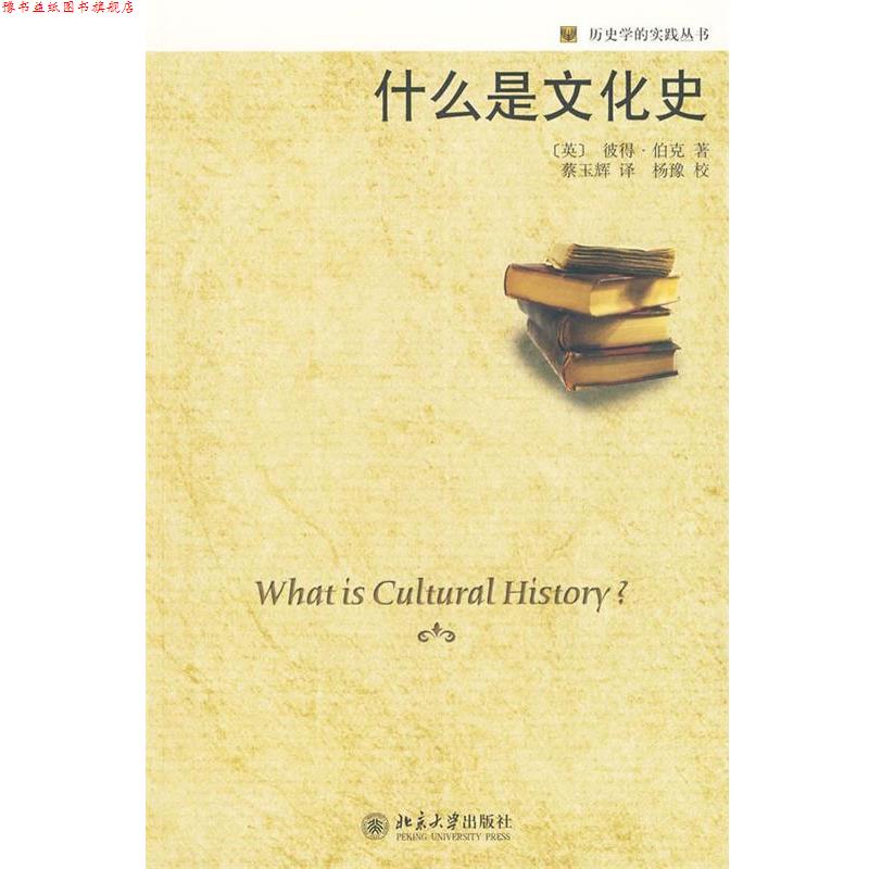 【正版书】 历史学的实践丛书—什么是文化史 (英)伯克 著,蔡玉辉 译 北京大学出版社