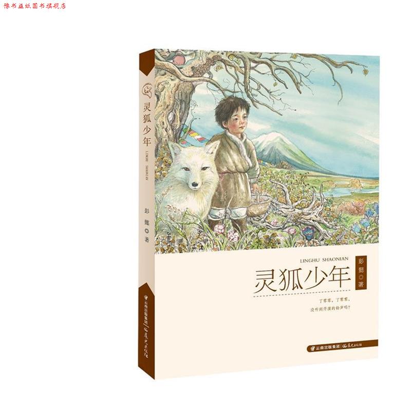 【正版书】 灵狐少年 彭懿 著 云南出版集团公司 晨光出版社