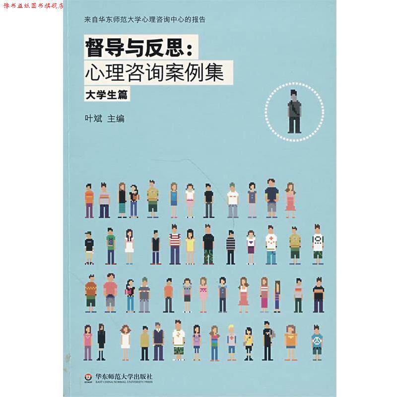 【正版书】 督导与反思:心理咨询案例集 叶斌 主编 华东师范大学出版社