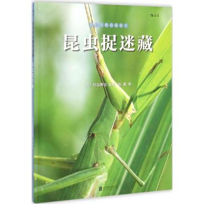 【正版书】 我们去找小昆虫2:昆虫捉迷藏 [日]冈岛秀治　著, 张曼 译 北京联合出版公司