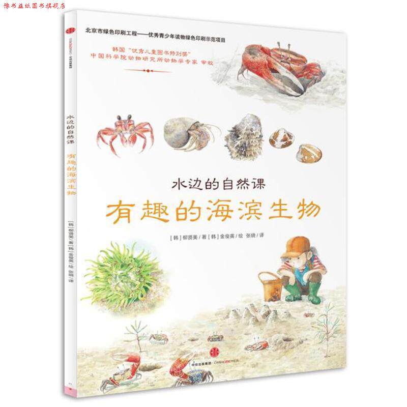 【正版书】 水边的自然课：有趣的海滨生物 [韩]柳贤美著 [韩]金俊英绘 中信出版社