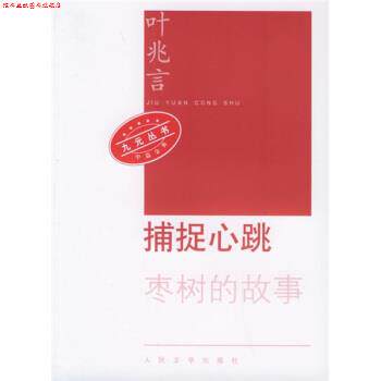 【正版书】 捕捉心跳 叶兆言 著 人民文学出版社