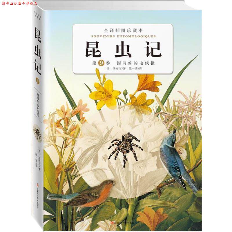 【正版书】 昆虫记:第九卷圆网蛛的电线报 (法)法布尔 著,陈一青 译 江西科学技术出版社