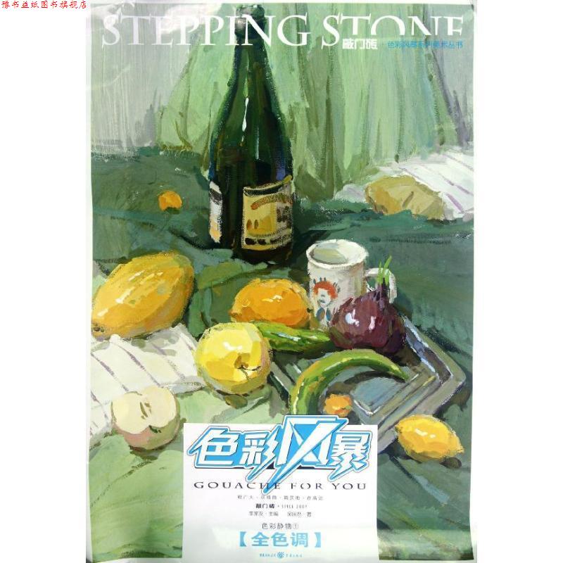 【正版书】 色彩风暴 色彩静物①全色调 吴国然著 重庆出版社