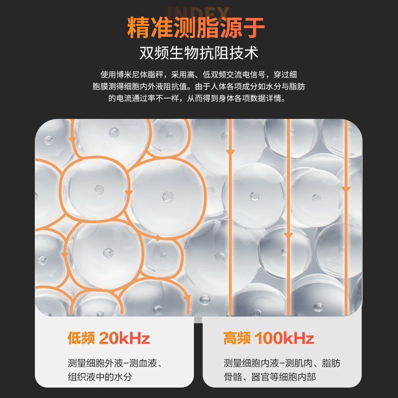 博米尼八电极体脂秤健康称高精度手柄电子称体重秤家用减肥可充电