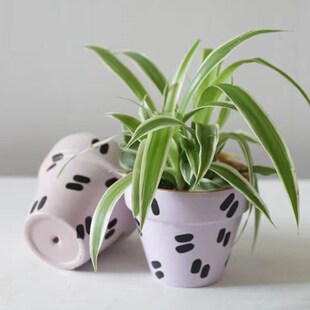 植物幻想/小竖线花器手绘红陶盆绿植多肉创意可爱有趣办公室礼物