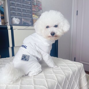 潮查利家宠物狗夏装防晒衣泰迪比熊约克夏猫咪公母犬防尘清凉薄款