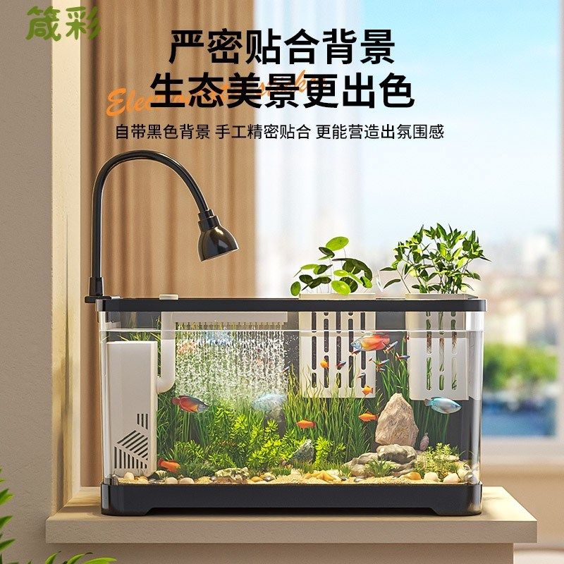 鱼缸小型客厅2024新款造景生态缸过滤制氧一体机金鱼底滤系统整套