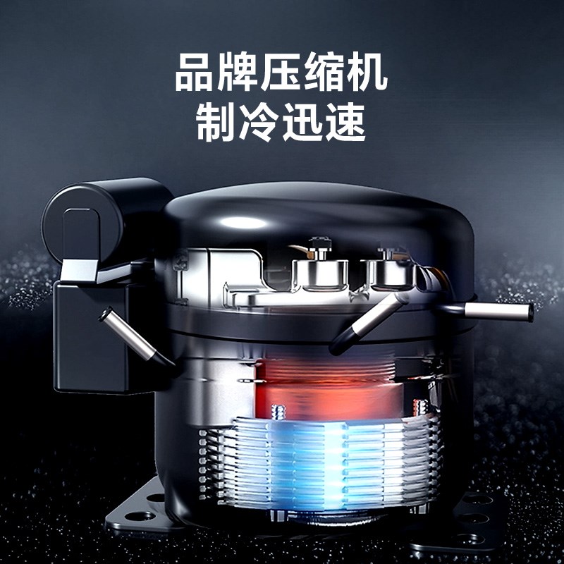 白雪尚品商用大容量卧式冷冻柜保鲜柜家用单温双温冷藏冰箱展示柜