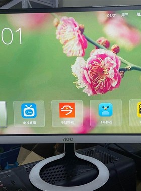 AOC显示器23寸 型号236LM00027 VGA/HDM