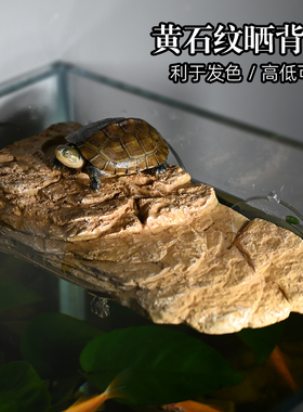乌龟吸盘晒背台高水位爬台浮岛鱼缸水族箱深水爬梯仿石头休息平台