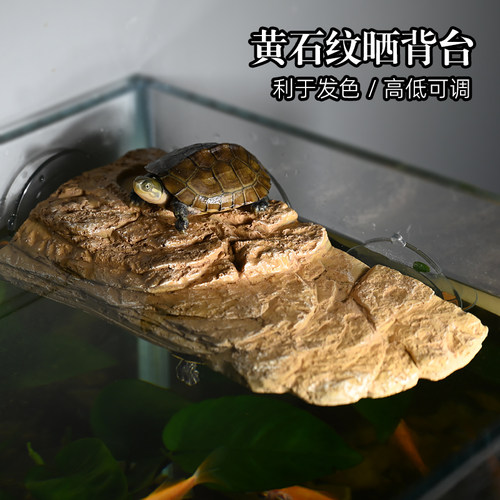 乌龟吸盘晒背台高水位爬台浮岛鱼缸水族箱深水爬梯仿石头休息平台