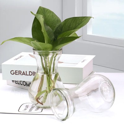 简约玻璃花瓶风信子m透明花瓶办公室桌面水培绿萝器皿客厅装饰摆