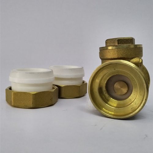 PPR双活接止回阀1寸卧式止逆阀25热熔逆止阀黄铜立式改装水管配件