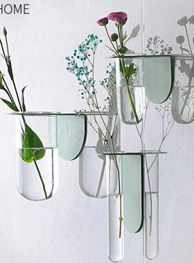创意墙壁装饰品壁挂件简约北欧铁艺玻璃水培植物试管壁饰 手耕田