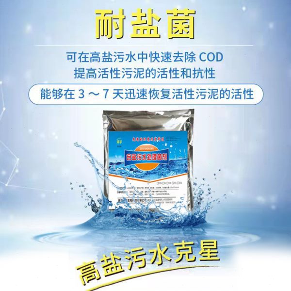含盐污水处理菌剂污水池养殖场粪水处理微生物菌种污水处理臭粪池