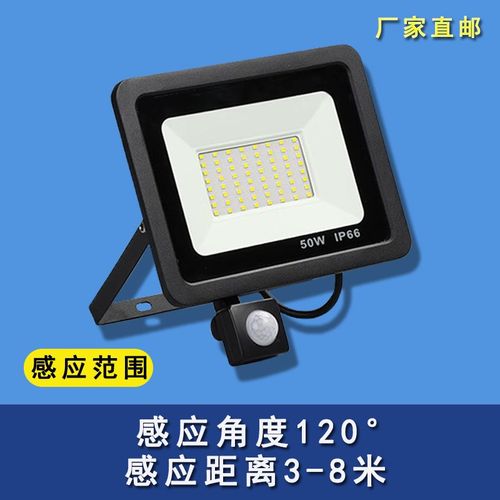 110V戶外投光燈便攜農村院子照明燈蘋果款庭院強光自動亮紅外感應