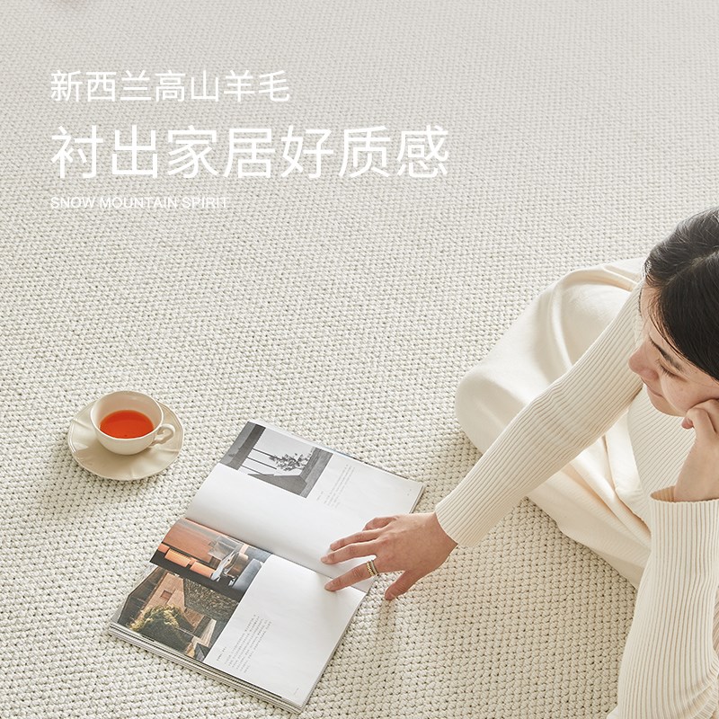 进口素色羊毛地毯客厅2025新款耐脏轻奢高级P感免洗可擦沙发茶几