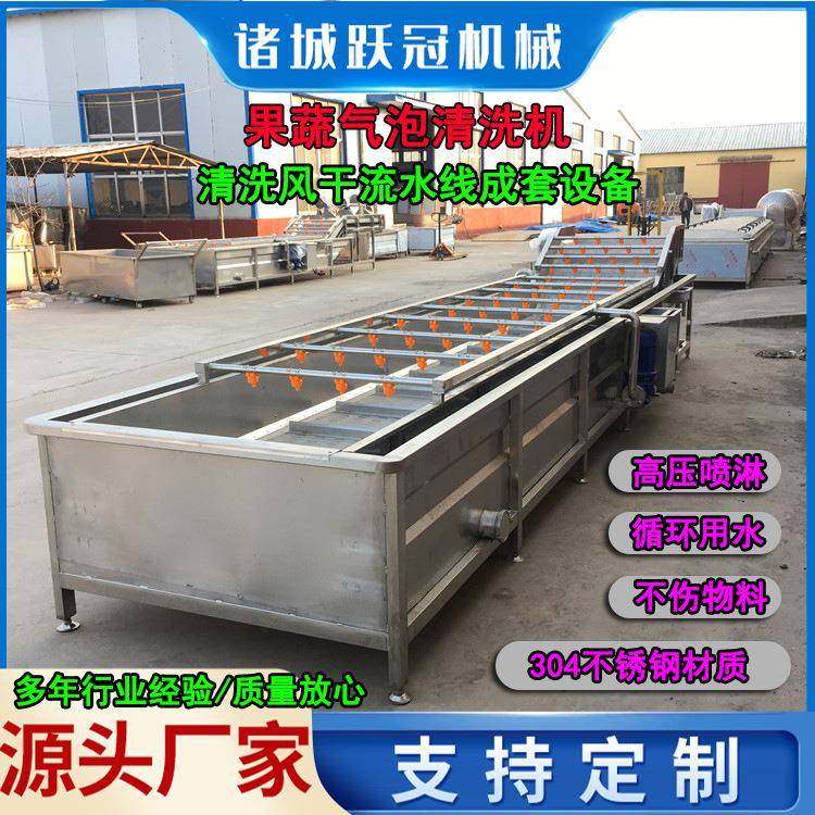 大枣枸杞气泡清洗机韭菜高压喷淋洗菜机净菜加工成套漂烫设备
