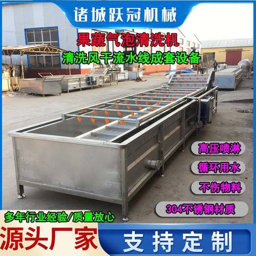 大枣枸杞气泡清洗机韭菜高压喷淋洗菜机净菜加工成套漂烫设备