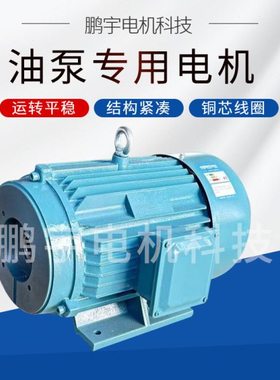 油泵电机380VB35/B5IE3三级能效纯铜线国标三相电动机效节能