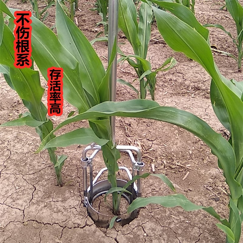 移苗栽苗补玉米苗神器不绣钢圆筒挖苗打洞起苗秒栽耕种机械