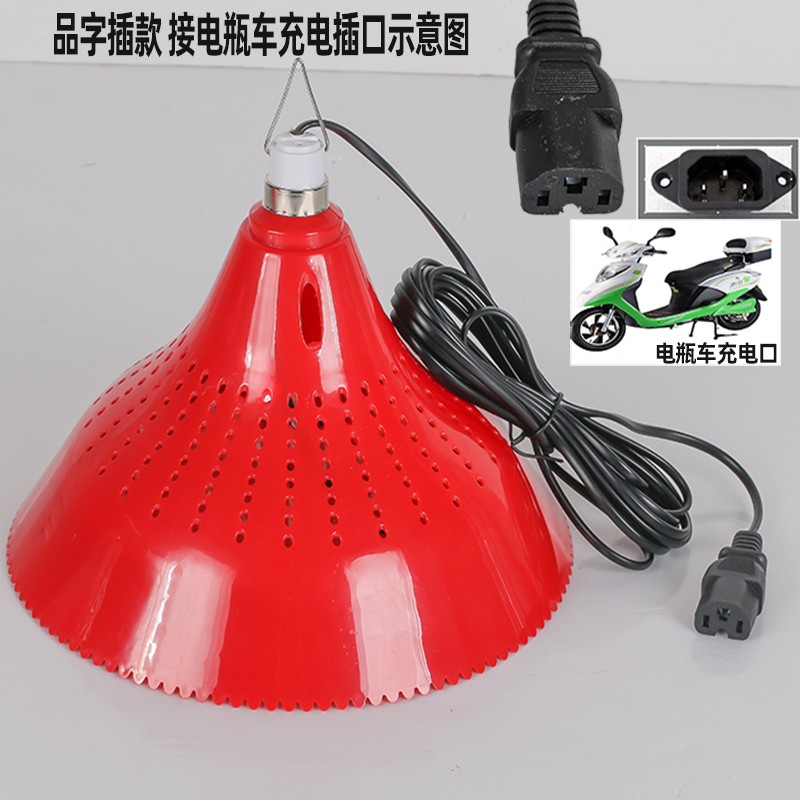 12V电b瓶用猪肉熟食水果卤肉卤菜灯48v60V72伏电动三轮车低压led