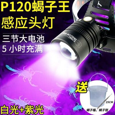 感应蝎子灯头灯头戴式强光充电超亮远射照蝎专用紫光灯户外手电筒