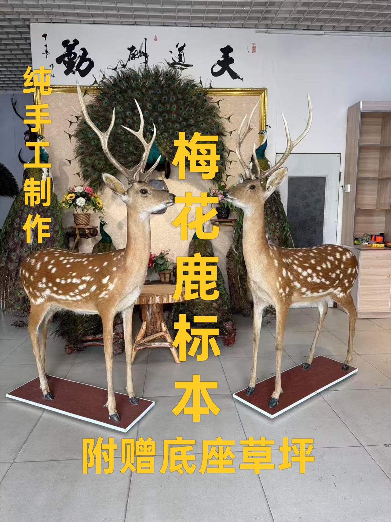 梅花鹿标本摆件招财吉祥酒店办公室家居装饰乔迁开业礼品生财有鹿