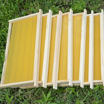 八千成品巢框蜜蜂巢础带框巢脾中蜂蜂巢杉木蜂箱专用全套养蜂工具