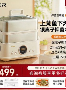 TER不锈钢电蒸锅家用多功能大容量蒸炖一体锅多层蒸箱小型蒸汽锅