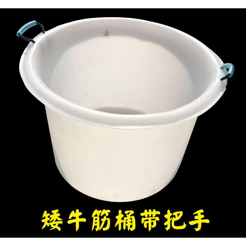 特厚鱼桶水产养殖装鱼海鲜塑料桶带把手圆桶牛R筋矮水桶养鱼专用
