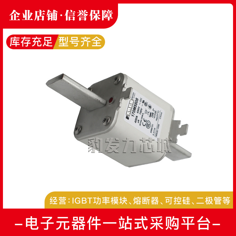 170M7532/7633/7592/7107/7595/7510-7513/7976/7516/7978熔断器