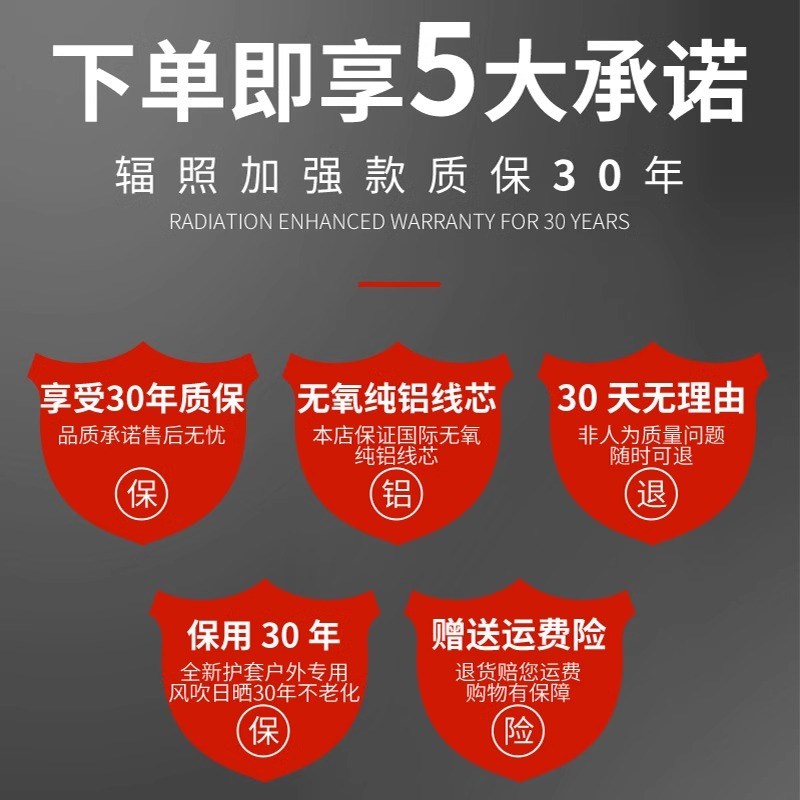 国标辐照铝线电线家用铝芯护套线防老化电缆线2芯10 1625平方户外