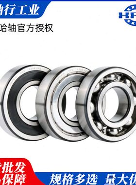 HRB哈尔滨轴承深沟球轴承6096M-2ZC3/2RZ2RS1哈轴钢保铜保