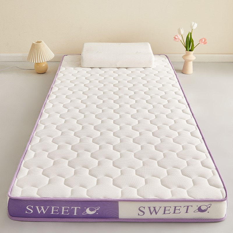 双拼乳胶记忆棉床垫学生宿舍软垫家用卧室榻榻米海绵租房专用床褥