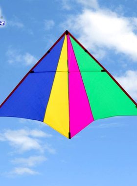 新款网红飞悦1.6小彩燕1.1小轻体风筝微风王PA31专业大人儿童风筝