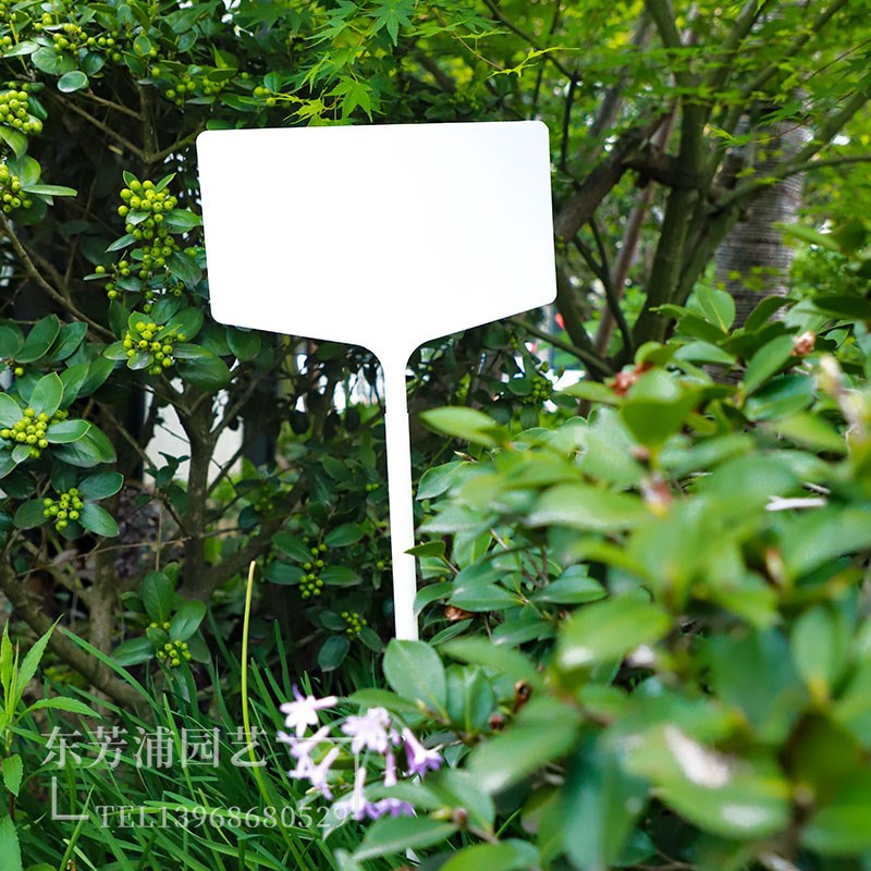 包邮加大号大面插地牌塑料防水园艺植物标签组合式田间Y试验插地