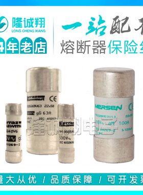 【熔断器保险丝】FR22AM69V16P W211044 FR22AM69V20P W212079