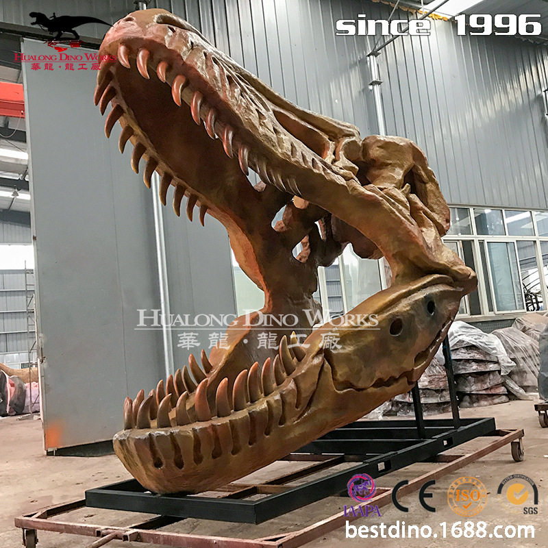 玻璃钢化石霸王龙头骨 博物馆 科技馆 展览公司亲子乐园产品考古